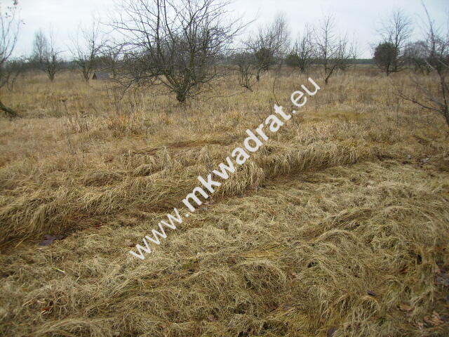 Działka Stary łajszczew