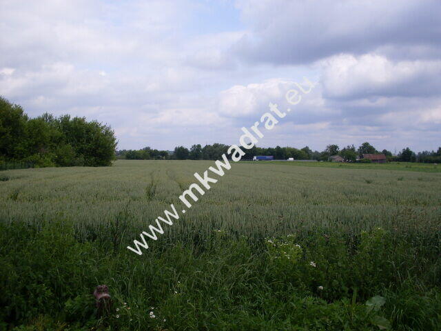 Działka Seroki-parcela