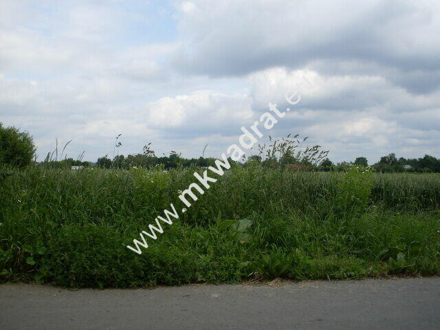 Działka Seroki-parcela