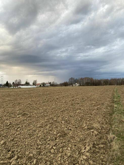 Działka rolno-budowlana w Wojniczu