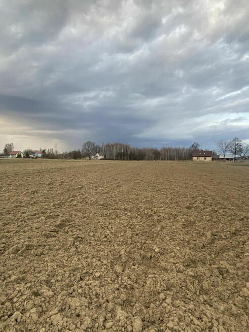 Działka rolno-budowlana w Wojniczu