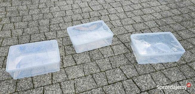 Pojemniki hodowlane dla ptasznika / skorpiona / jaszczurki