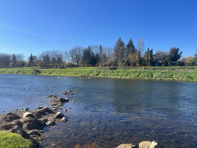 Przemyśl // Działka nad Sanem // 10 arów // Galeria Sanowa