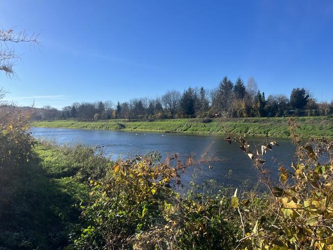 Przemyśl // Działka nad Sanem // 10 arów // Galeria Sanowa