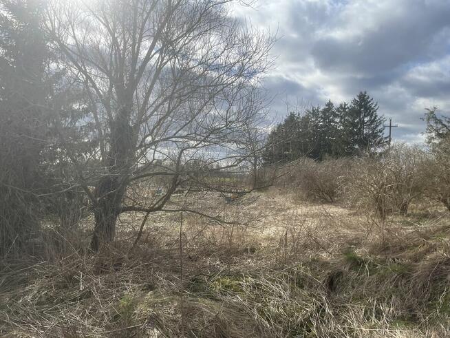 Sprzedam działkę Grzmiąca 9/1 , 5102m2 klasa N - nieużytek