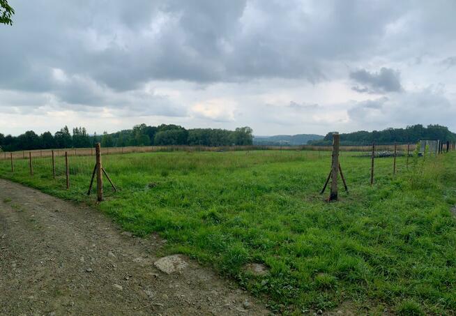 Grodziec - działka budowlana 12,20 ar obok lasu