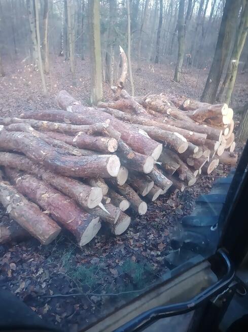 Wycinka drzew itp...