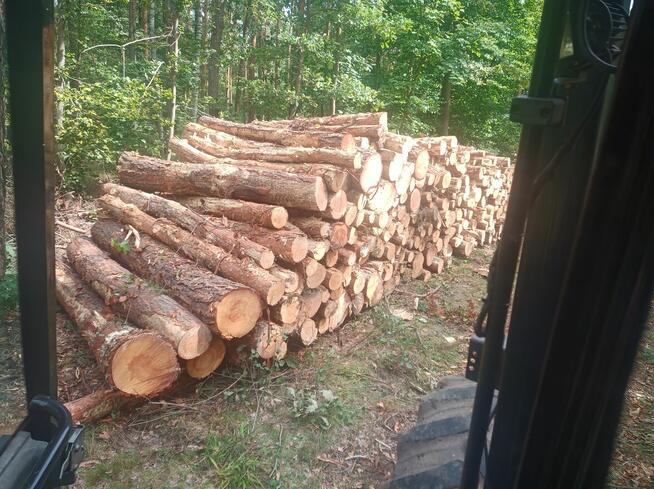 Wycinka drzew itp...