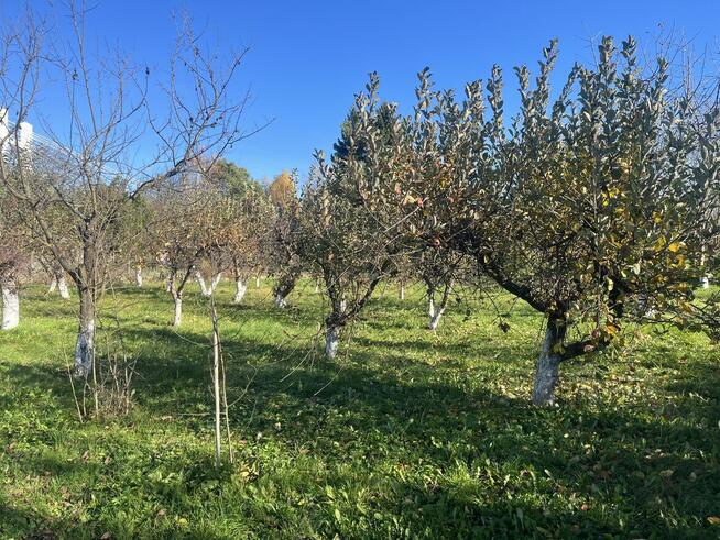 Przemyśl // Działka nad Sanem // 10 arów // Galeria Sanowa