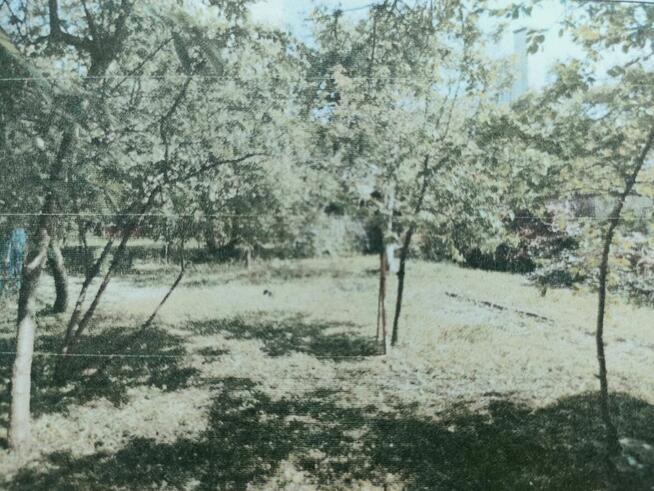 Dom nad morzem, Bliźniak, Dom w Darłowie, w cenie mieszkania