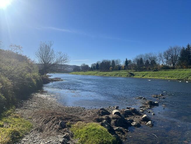 Przemyśl // Działka nad Sanem // 10 arów // Galeria Sanowa