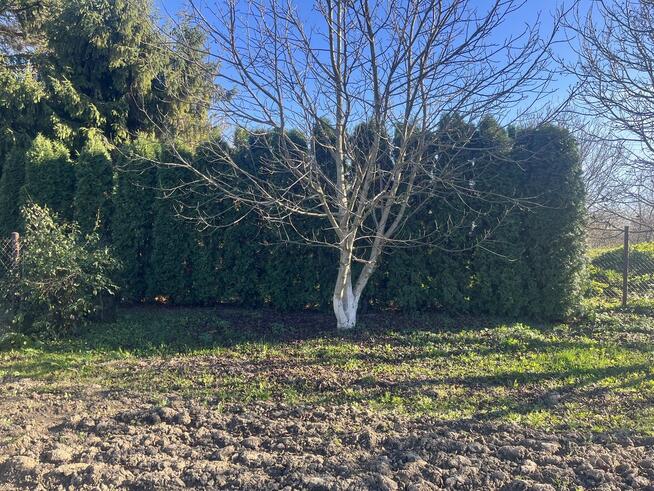 Przemyśl // Działka nad Sanem // 10 arów // Galeria Sanowa