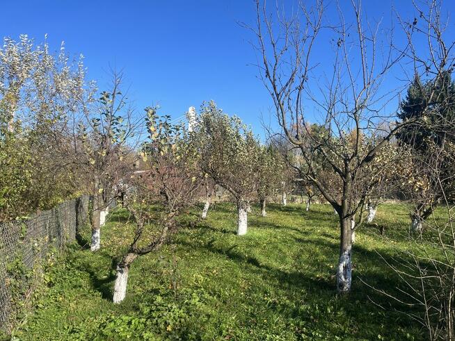 Przemyśl // Działka nad Sanem // 10 arów // Galeria Sanowa