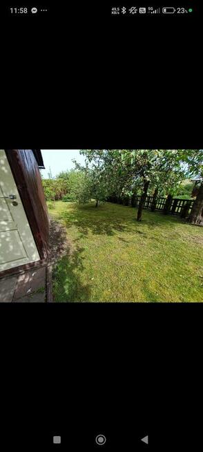 Cicha działka ROD Antoniuk