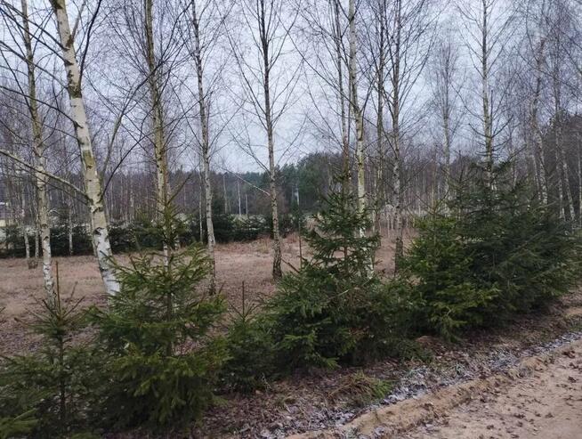 Wyjątkowa działka budowlana w Borach Tucholskich