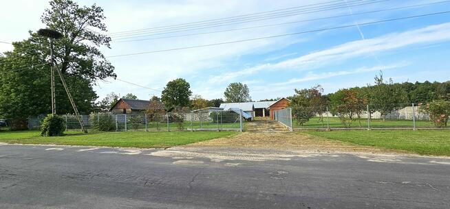 Budynki gospodarcze z dużą działką, Kolonia Gołąb