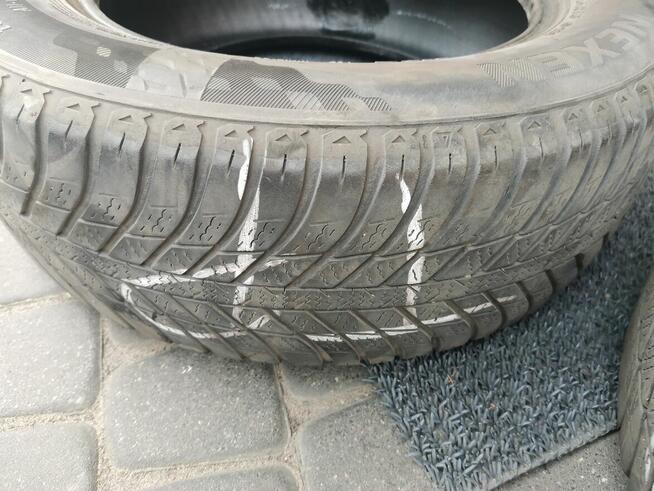 4 Opony NEXEN Blue 4Season 195/65/R15