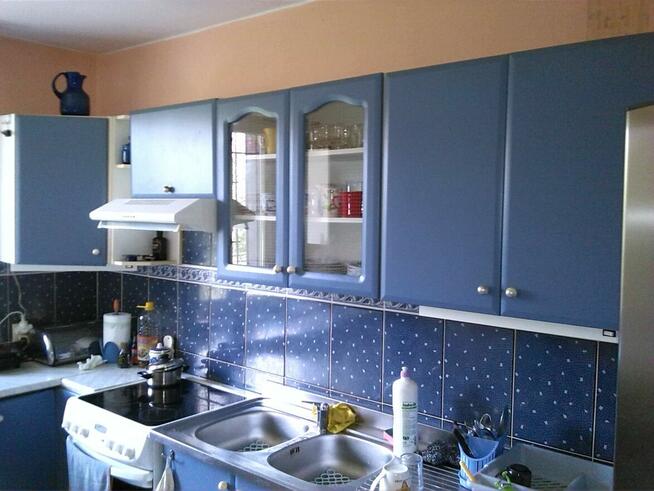 Sprzedam2domy 240m2 i 65m2 działka 3800m2gmina Leoncin 2