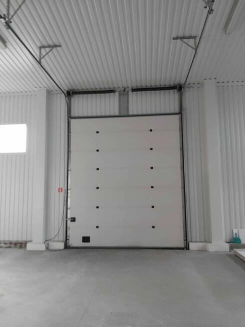 Magazyn, hala ,powierzchnia magazynowa wynajmę