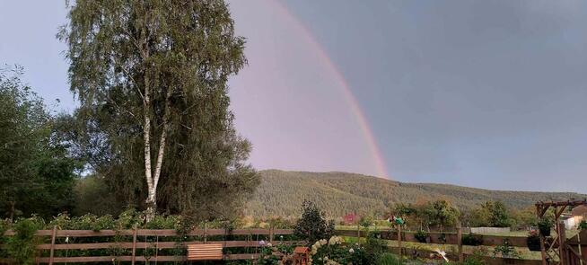 Sprzedam działkę, nowa niższa cena!