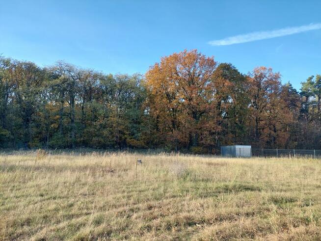 Sprzedaż działki budowlanej