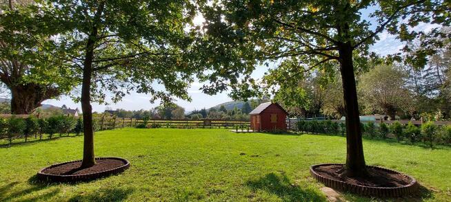 Sprzedam działkę, nowa niższa cena!