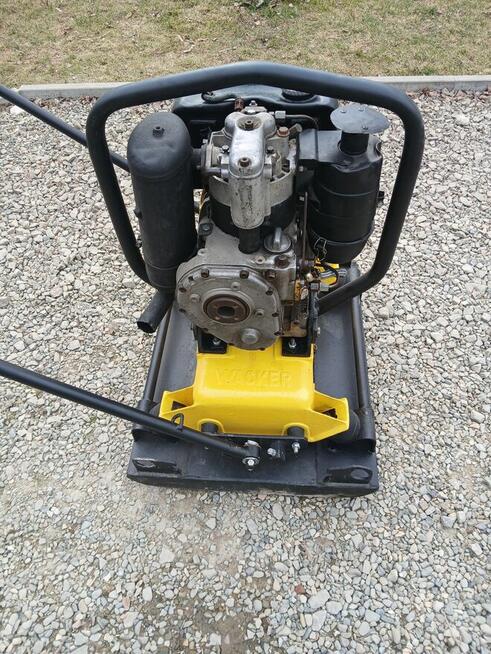 Zagęszczarka Wacker.