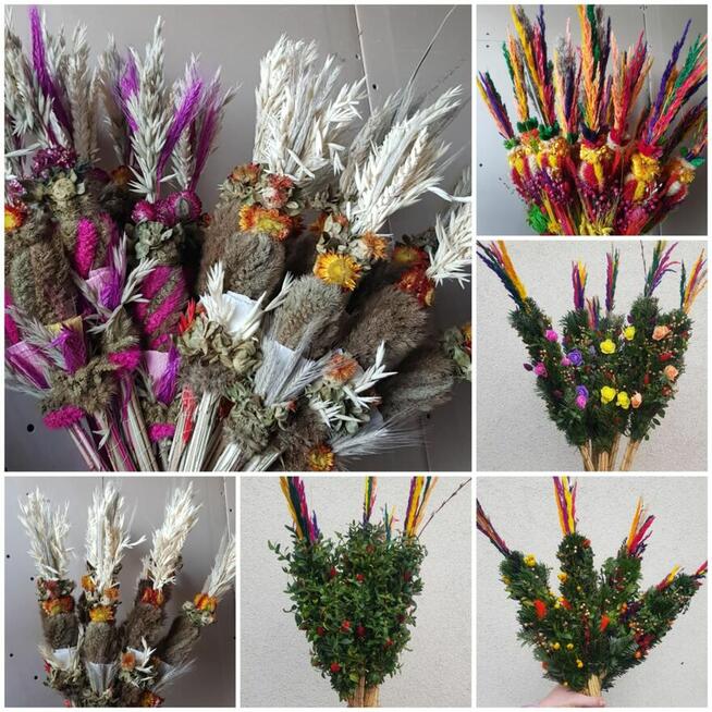 palmy Wielkanocne, palmy żywe- PRODUCENT