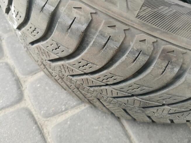 4 Opony NEXEN Blue 4Season 195/65/R15