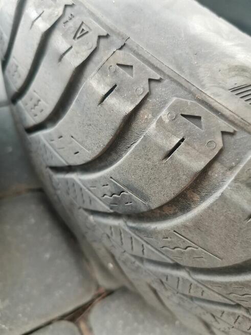 4 Opony NEXEN Blue 4Season 195/65/R15