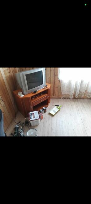 Cicha działka ROD Antoniuk