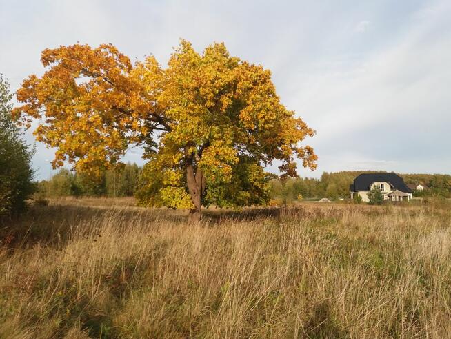 Działka inwestycyjna Kowalewo gm. Szemud, Wiśniowa