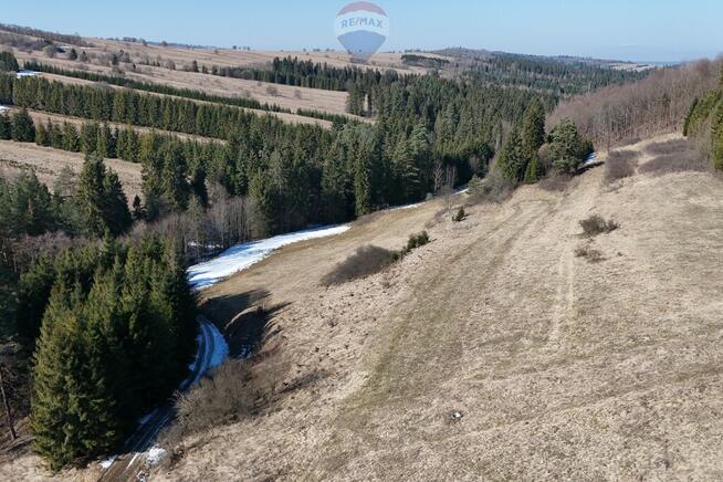 Działka w pięknym miejscu