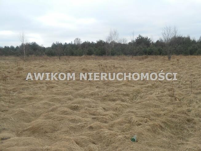 Działka budowlana Bartoszówka gm. Żabia Wola