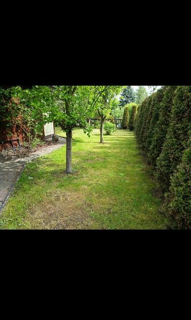 Cicha działka ROD Antoniuk