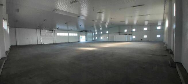 Magazyn, hala ,powierzchnia magazynowa wynajmę