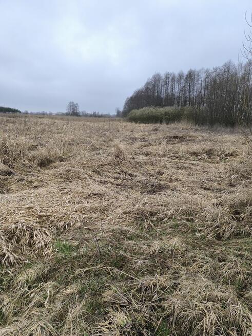 Działka rolna nieużytki