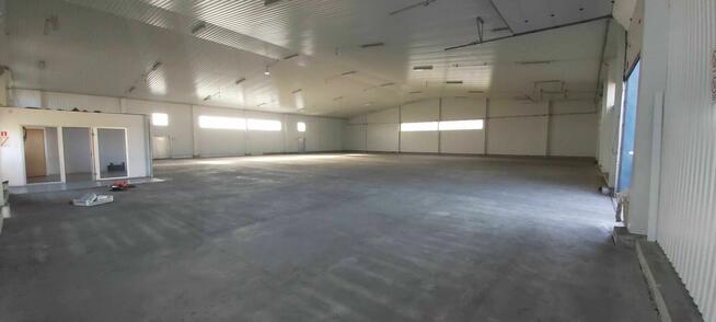 Magazyn, hala ,powierzchnia magazynowa wynajmę