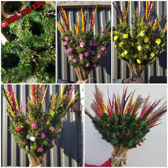 Palma Wielkanocna, palma żywa, Palma Sucha -PRODUCENT