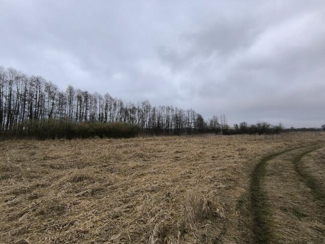 Działka rolna nieużytki