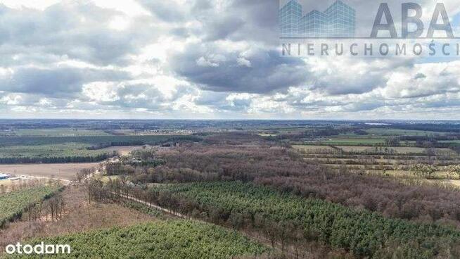 Dom parterowy przy lesie - Mieczownica OKAZJA!