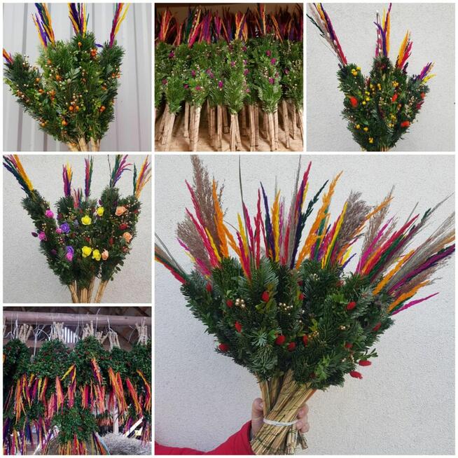 palmy Wielkanocne, palmy żywe- PRODUCENT