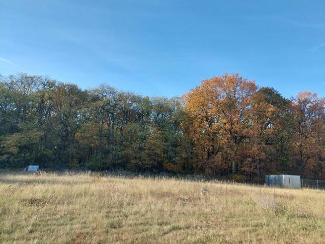 Sprzedaż działki budowlanej