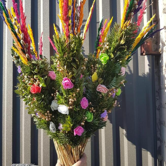 palmy Wielkanocne, palmy żywe- PRODUCENT