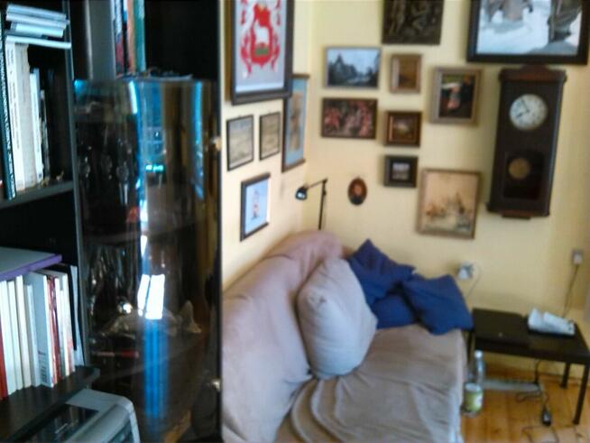 Sprzedam2domy 240m2 i 65m2 działka 3800m2gmina Leoncin 2