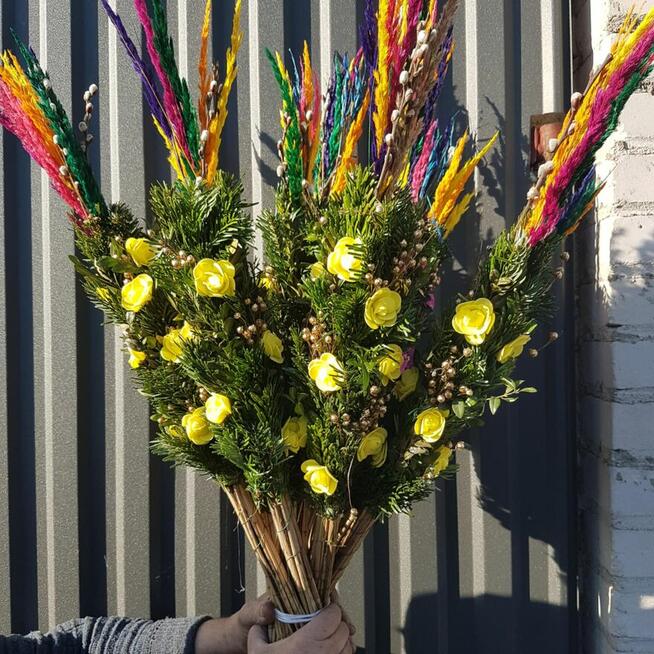 palmy Wielkanocne, palmy żywe- PRODUCENT