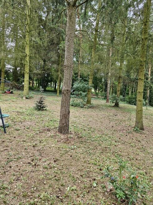 Sprzedam2domy 240m2 i 65m2 działka 3800m2gmina Leoncin 2