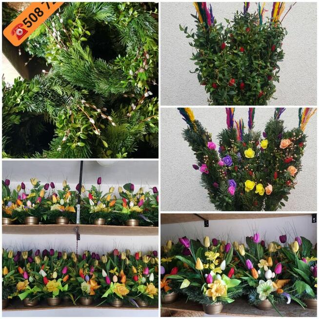 Wianki Wielkanocne, wianki żywe - PRODUCENT