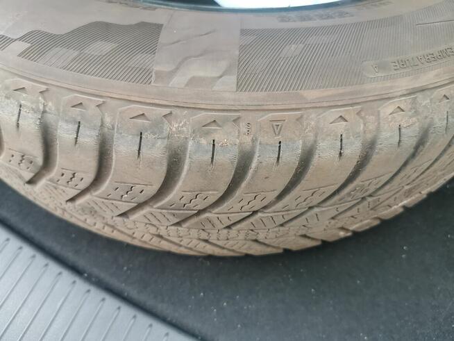 4 Opony NEXEN Blue 4Season 195/65/R15