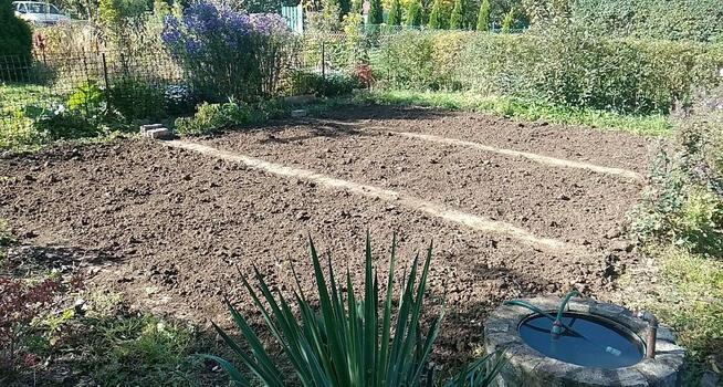 Przekopie działke Zwale węgiel Narabie drewna itp